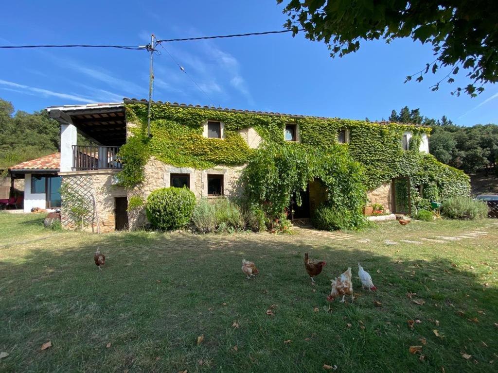 Can Canaleta Hotel Rural サンタ・コロマ・デ・ファルネルス エクステリア 写真