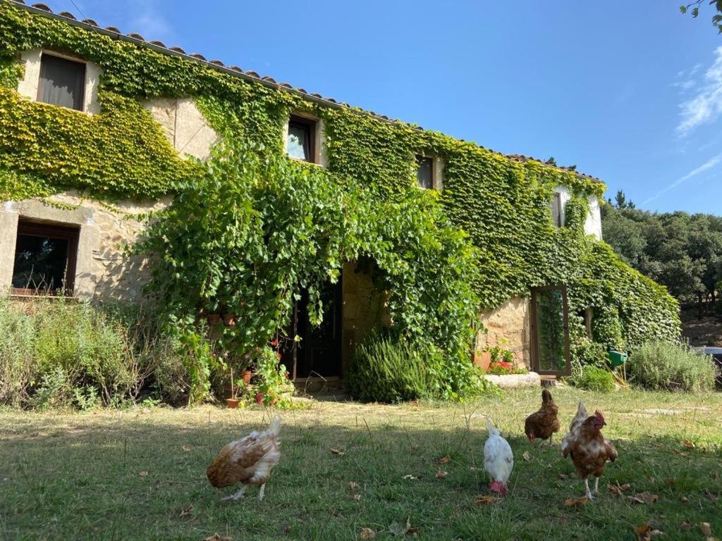 Can Canaleta Hotel Rural サンタ・コロマ・デ・ファルネルス エクステリア 写真